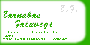 barnabas faluvegi business card